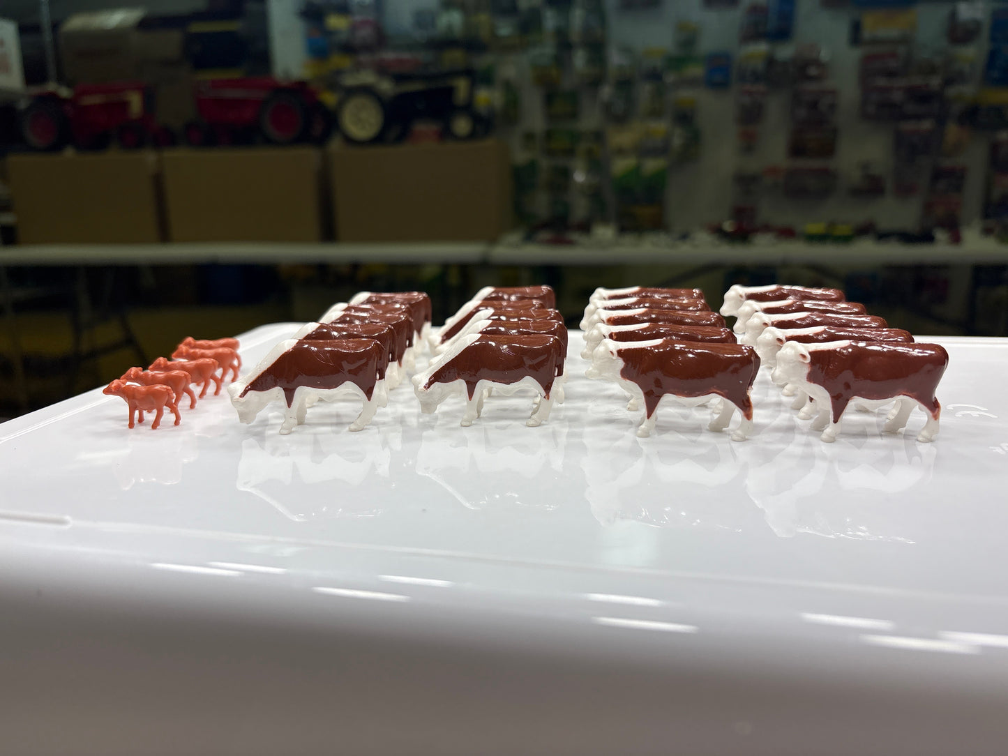 20 Hereford Cows w/ 5 calves 164 Scale