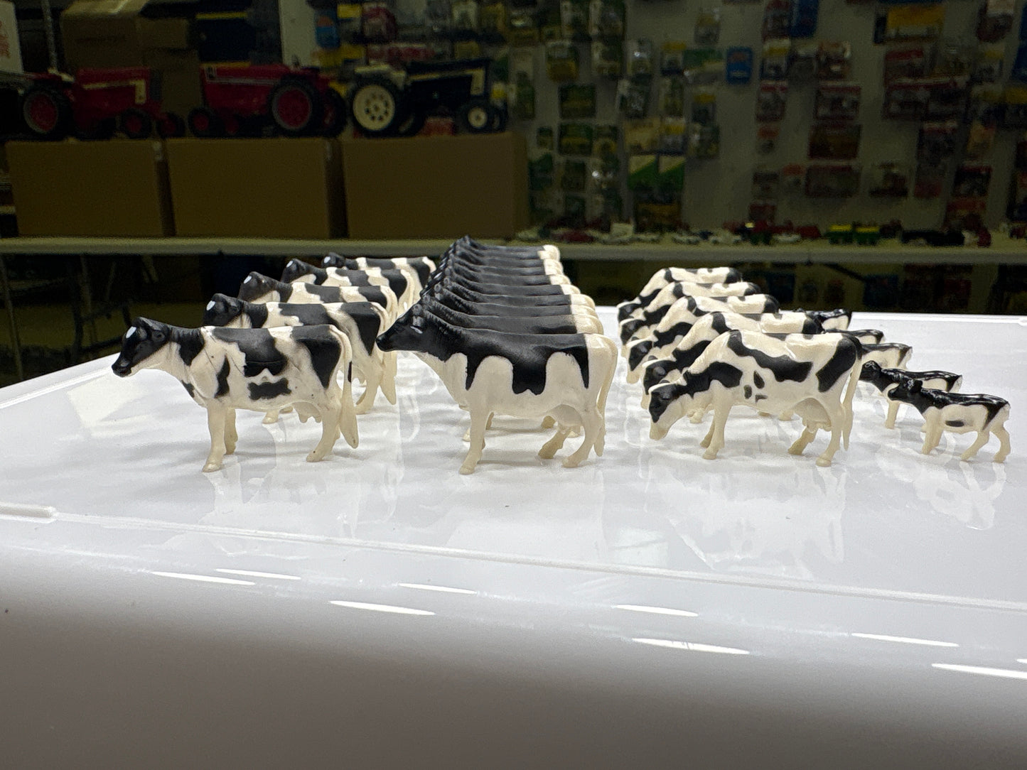 1/64 Holstein  20 Cows 5 Calves