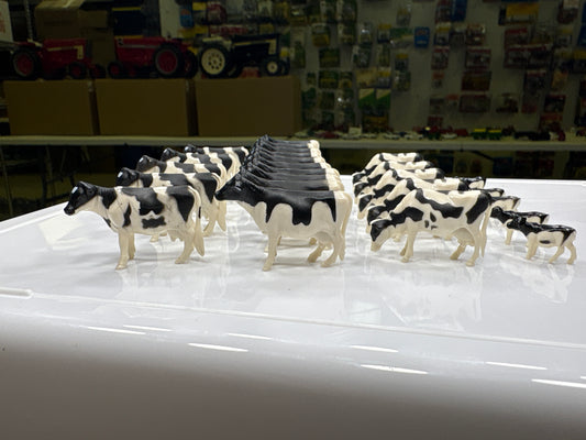 1/64 Holstein  20 Cows 5 Calves